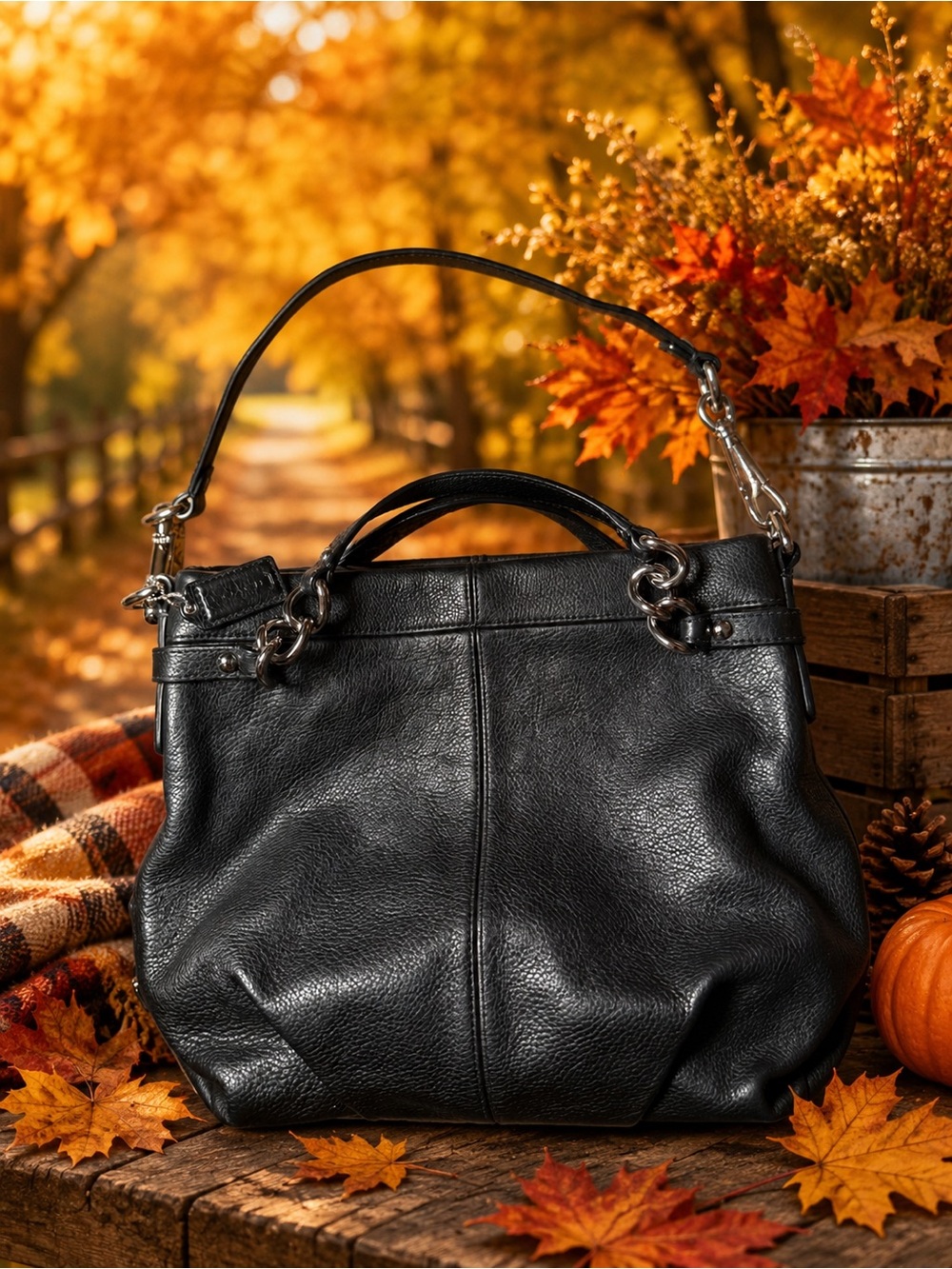 Coach Brooke Hobo bag